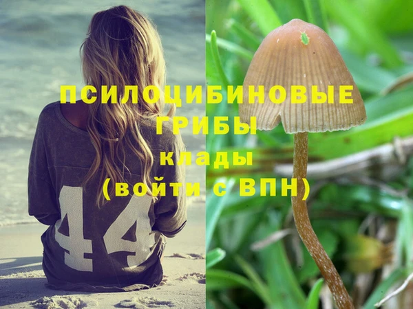 каннабис Абдулино