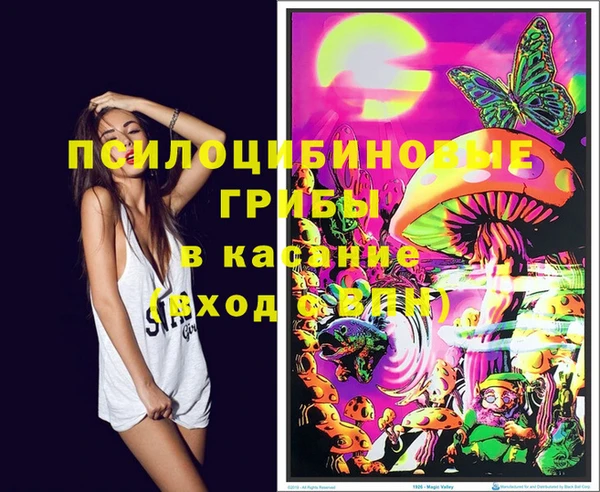 дмт Абинск