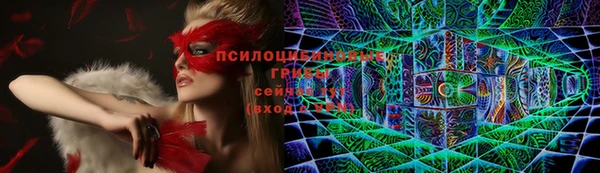 дмт Абинск