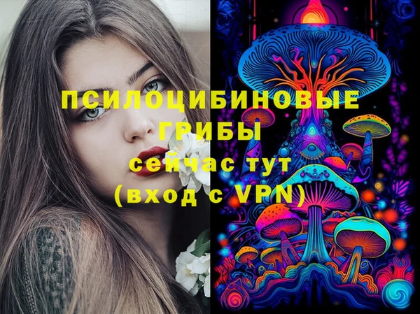 дмт Абинск