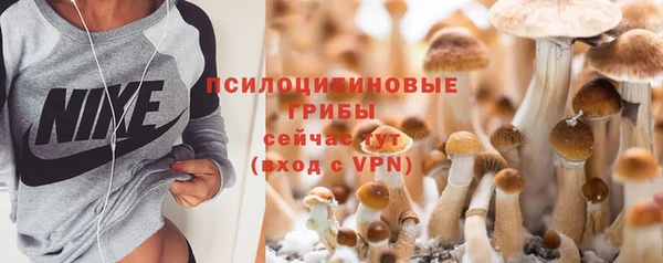 ешки Абаза